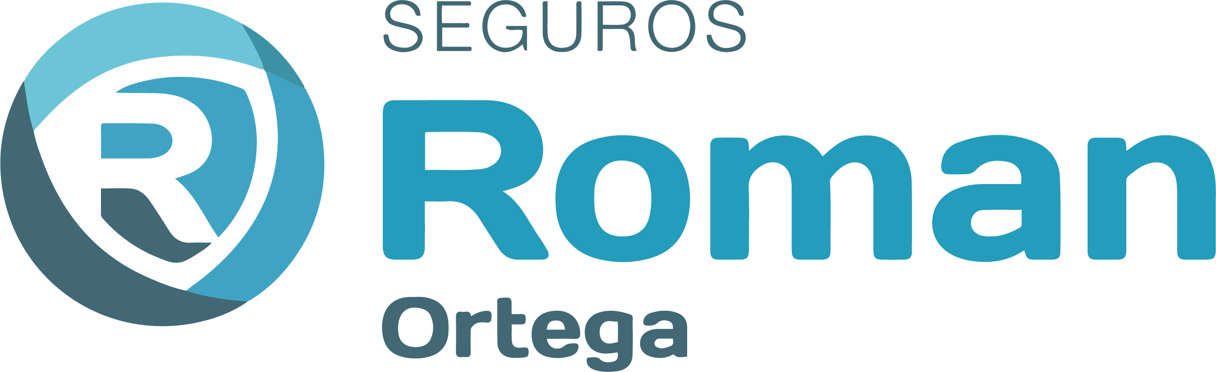 LOGO ROMAN SEGUROS logo-roman-seguros