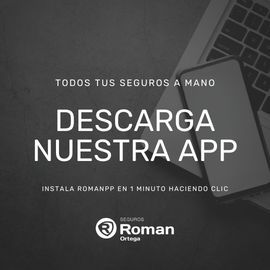 app-seguros-roman