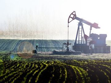 seguros-agrarios
