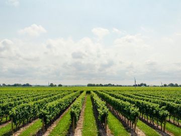 seguro-explotaciones-agricolas